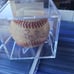 Game used minor league baseball signed by Barry Bonds