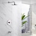 LUXIER Single-Handle 1-Spray Bathtub and Shower Faucet with Valve