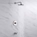 LUXIER Single-Handle 1-Spray Bathtub and Shower Faucet with Valve
