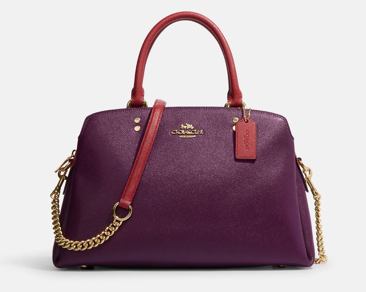 NWT Coach Lillie Carryall