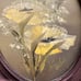 Antique Oval Original Oil Painting Yellow Poppy Wood Carving Frame Artist Signed