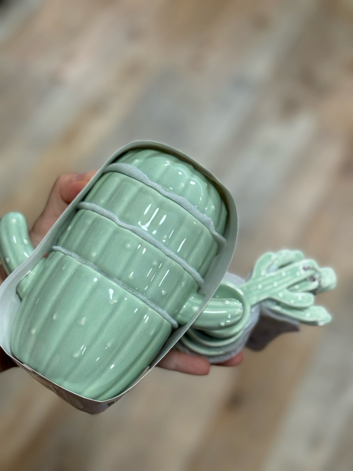 Cactus measuring cups and measure spoons