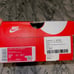 Nike Dunk Low Disrupt