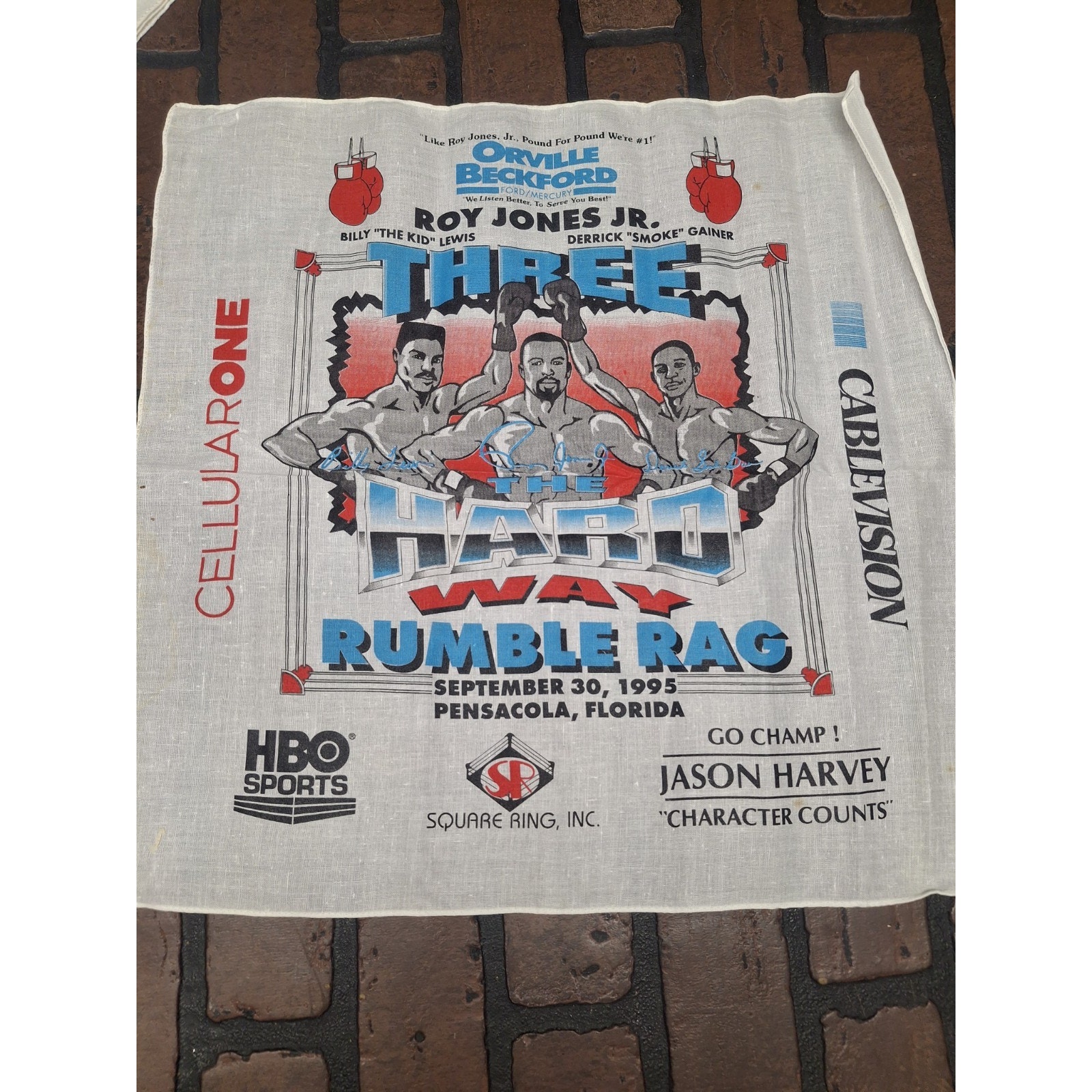 1995 ROY JONES JR. 17 X 17 RUMBLE RAG Hbo Sports Three The Hard Way