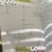 New Books of the Bible Studies Proverbs 31 Ministries Lot of 8 Books Easter