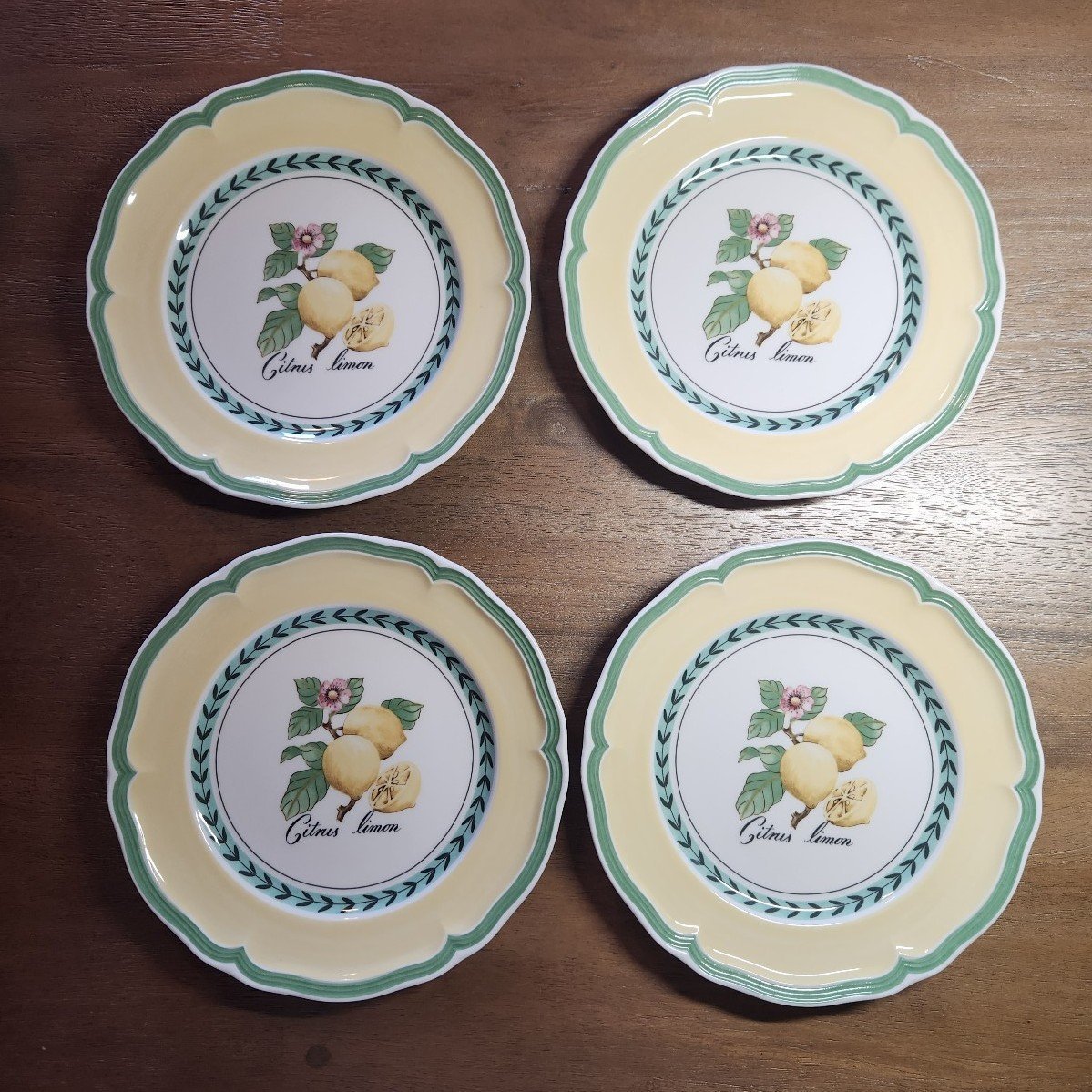 VILLEROY & BOCH French Garden Valence Lemon Salad Plate (Set of 4)