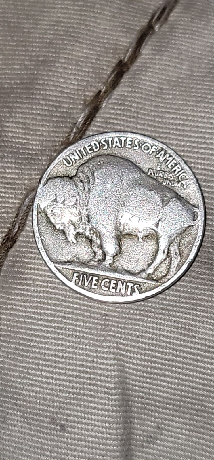 Buffalo nickel