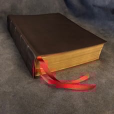 Ancient faith study Bible csb Christian standard