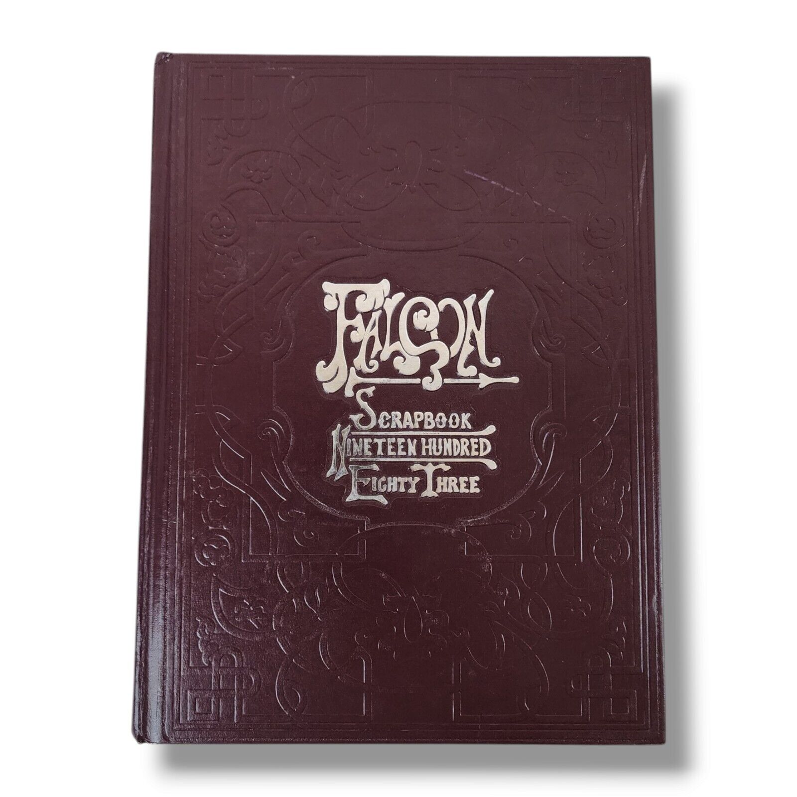 Salem Wisconsin Central High School Yearbook 1983 Falcons Memory Volume 31