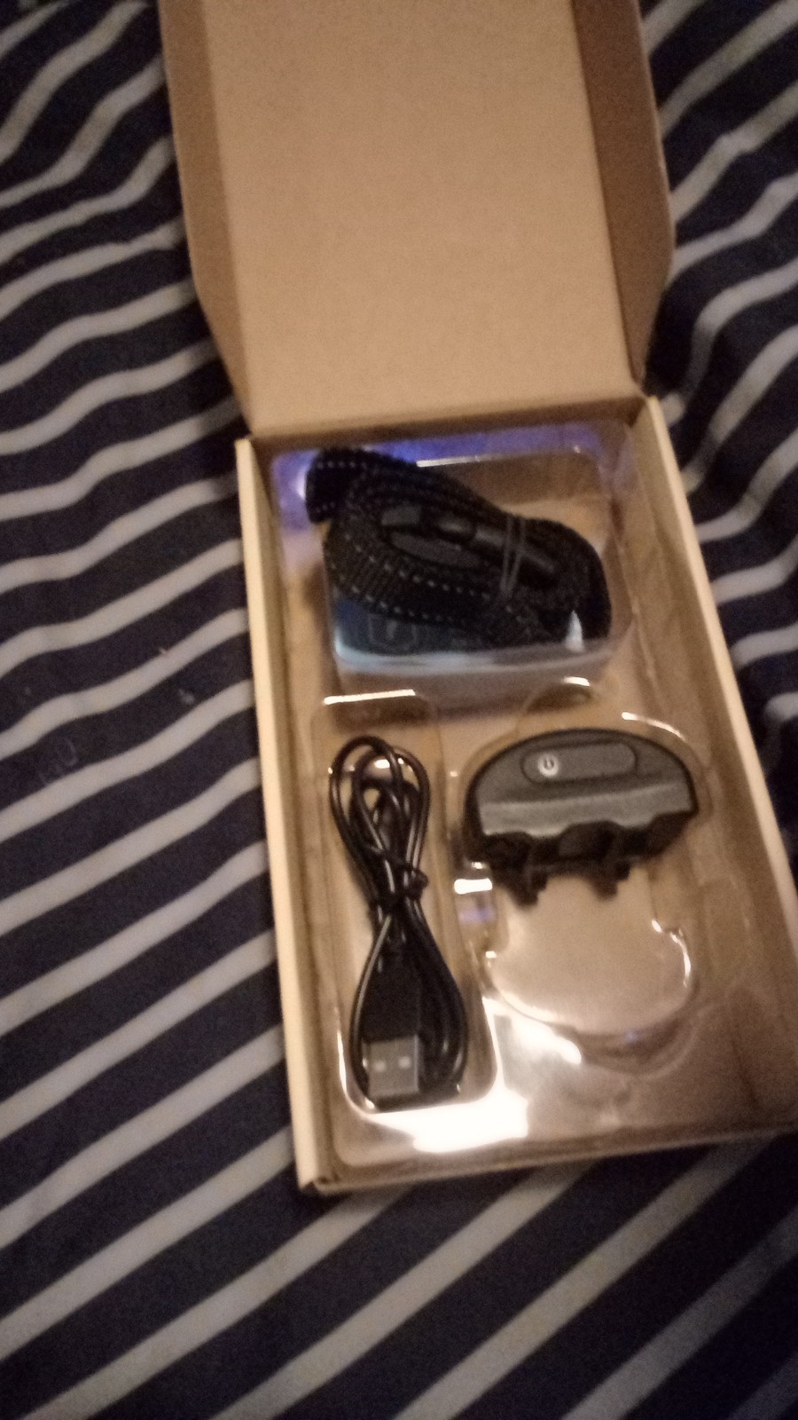 dog training collar