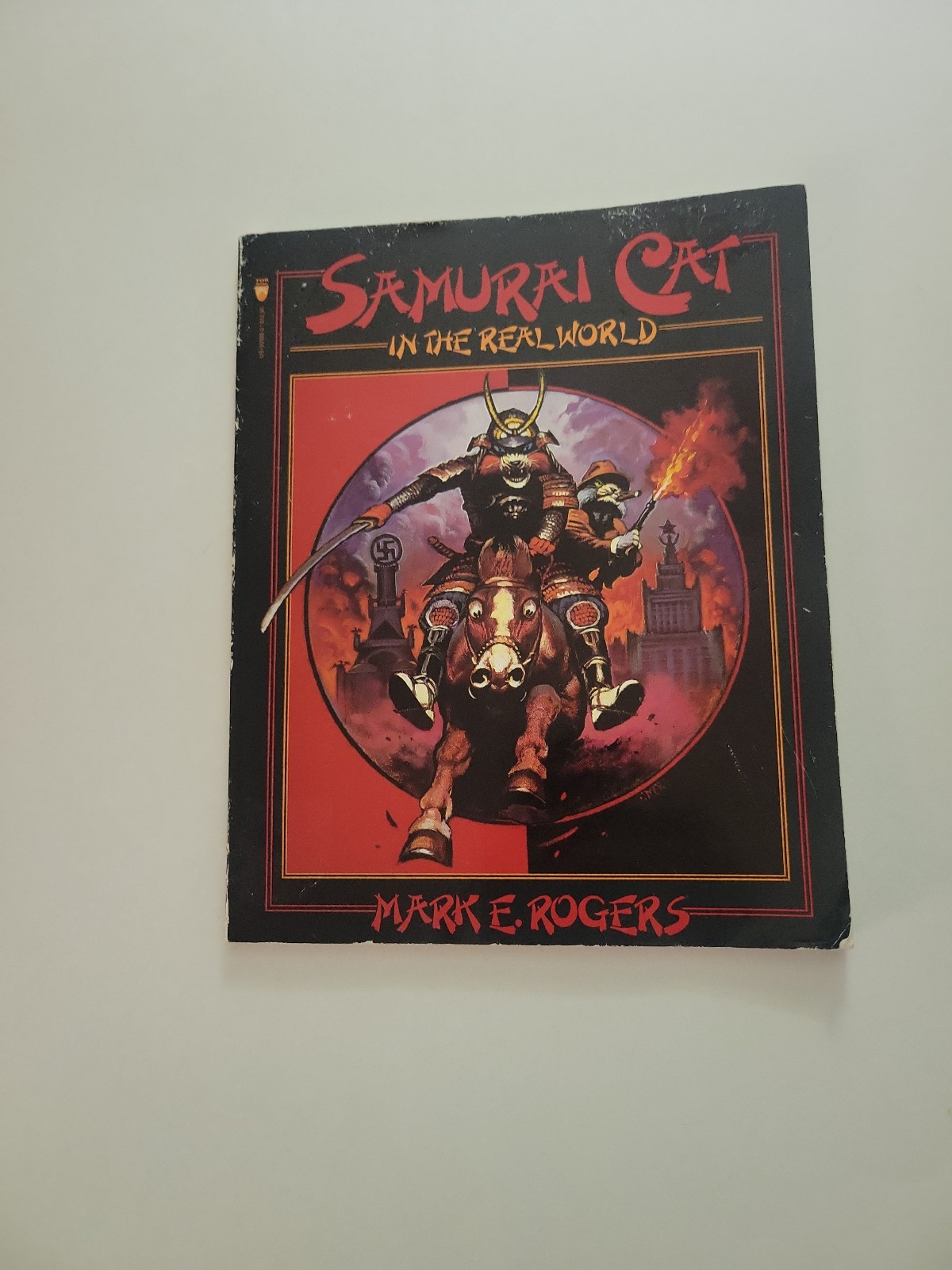 Samurai Cat In The Real World
