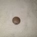1879 indian head penny