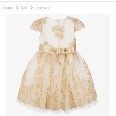 Ivory and Gold Dress