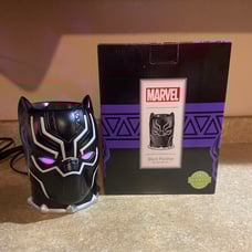 Scentsy wax warmer
