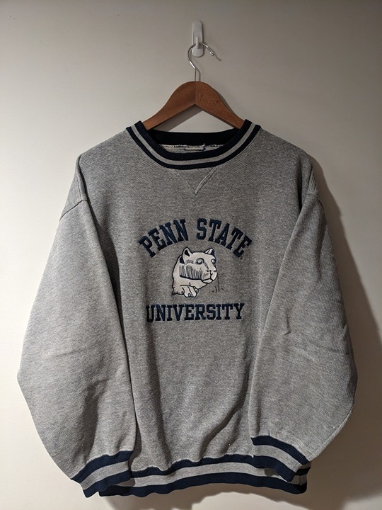 Vintage 90s Penn State Nittany Lion Lee Sport Gray Medium Sweatshirt
