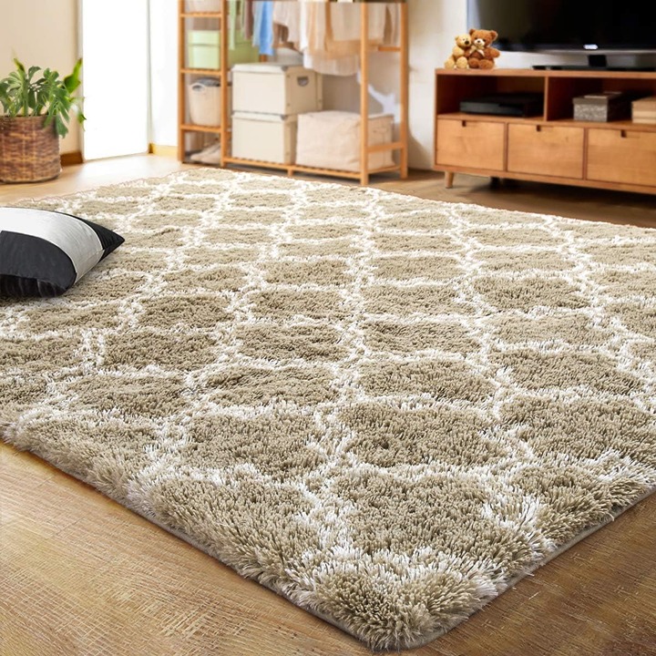 Luxury Shag Area Rug Modern Indoor Plush Fluffy Rugs, Extra Soft and ComfE