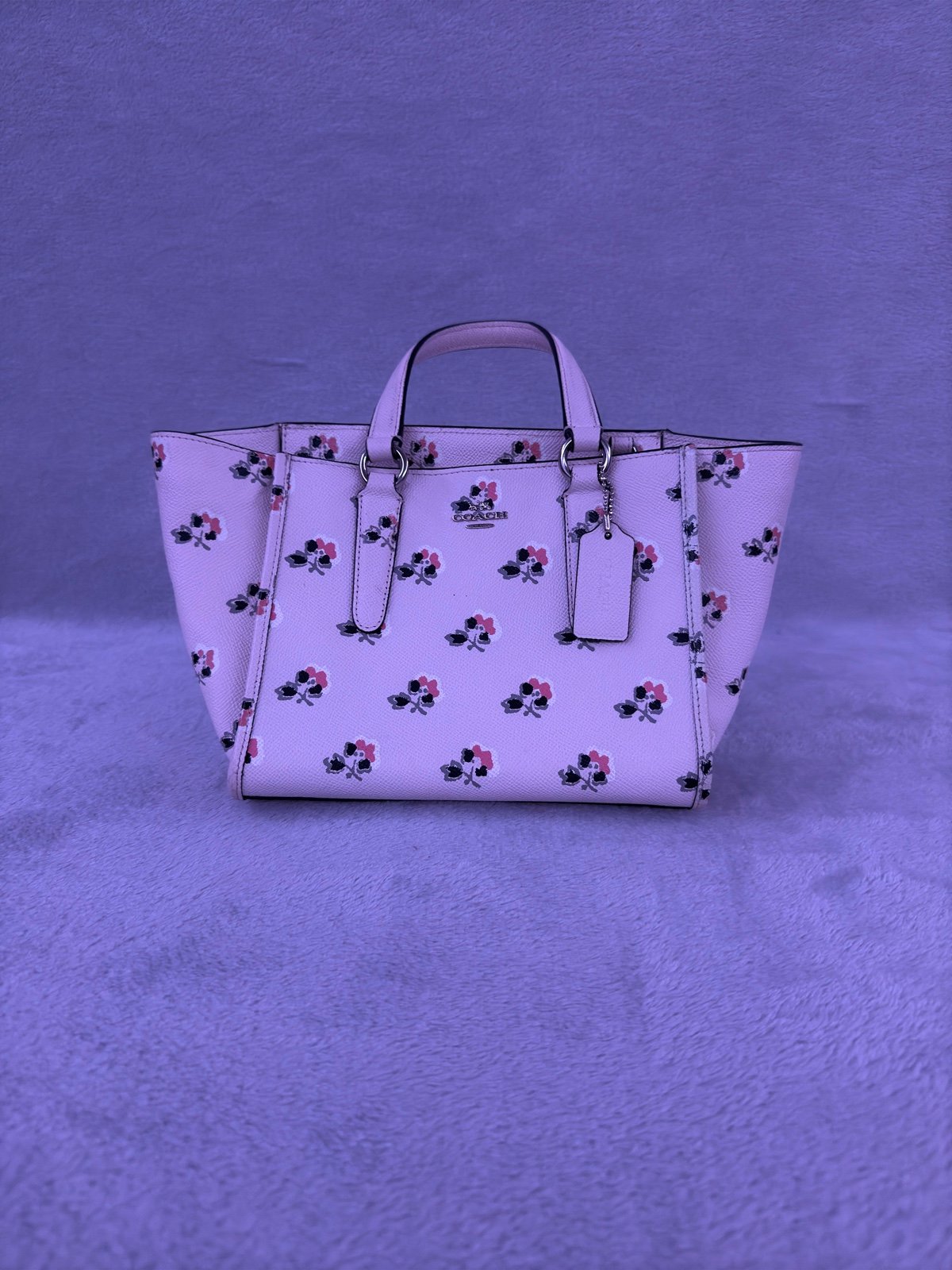 Coach Bag (new)