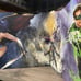 DC Universe: 10th Anniversary Blu-ray Collection (Limited and Numbered Edition)