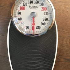 Vintage Taylor Professional 400lb Capacity Scale