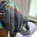 Bench Puffer Vest with Packable Hood XS