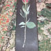 Superior Skateboard