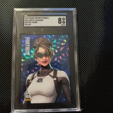 Sgc 8 fortnite series 1 artic assassin