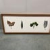 4 Leaves Print