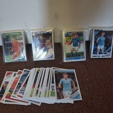 377 Panini cards