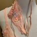 VS Angels Collection Vintage Lace Cami & thong set