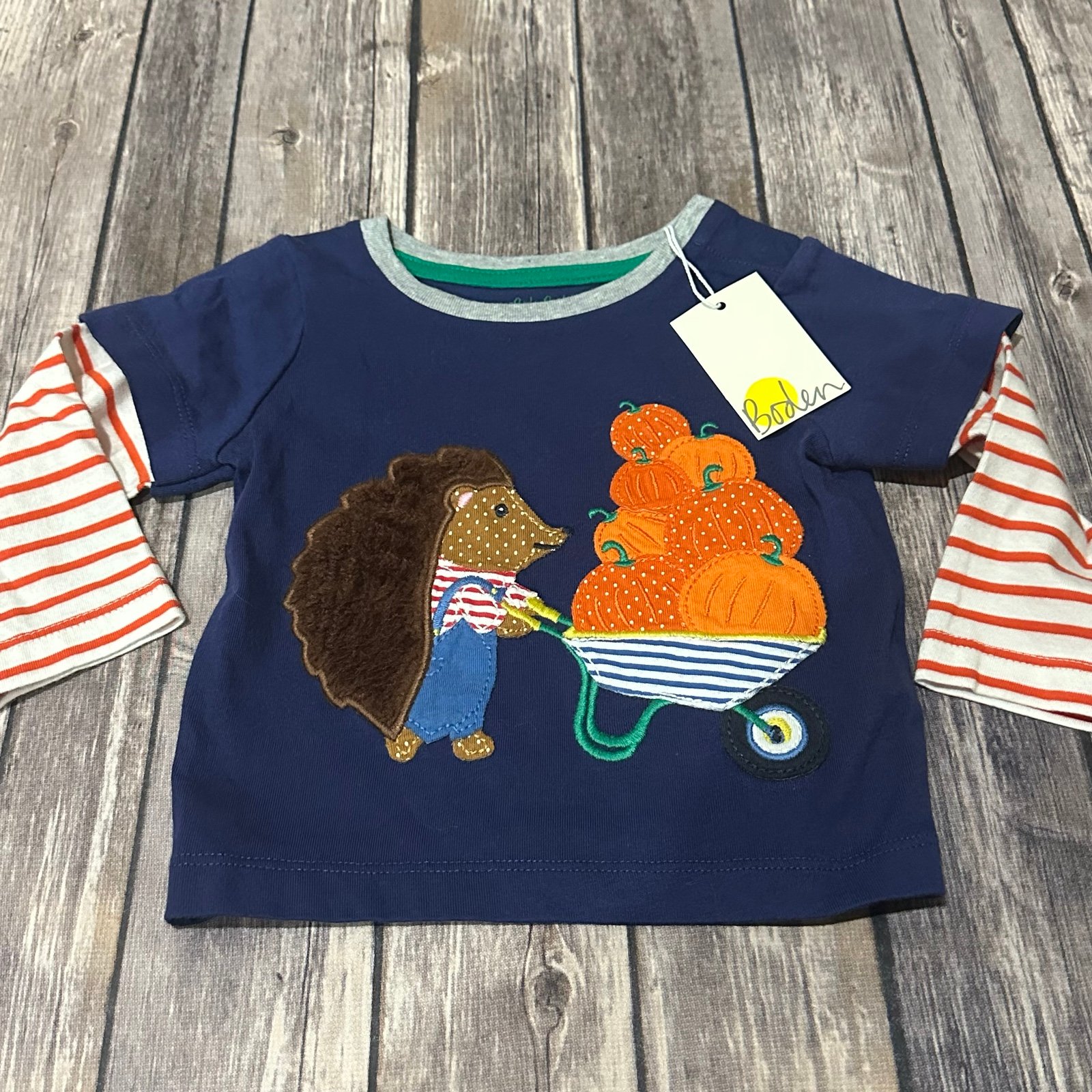 Mini boden pumpkin shirt