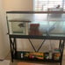 Tetra Glass Aquarium 5.5 Gallons, Rectangular Fish Tank
