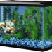 Tetra Glass Aquarium 5.5 Gallons, Rectangular Fish Tank