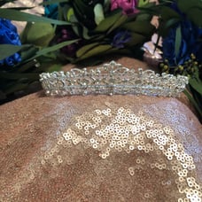 Beautiful bridal tiara