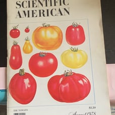 Vintage Scientific American, August 1978, Great Condition!