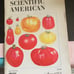 Vintage Scientific American, August 1978, Great Condition!