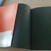 Akina Nakamori Essay with Photos