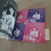 Akina Nakamori Essay with Photos