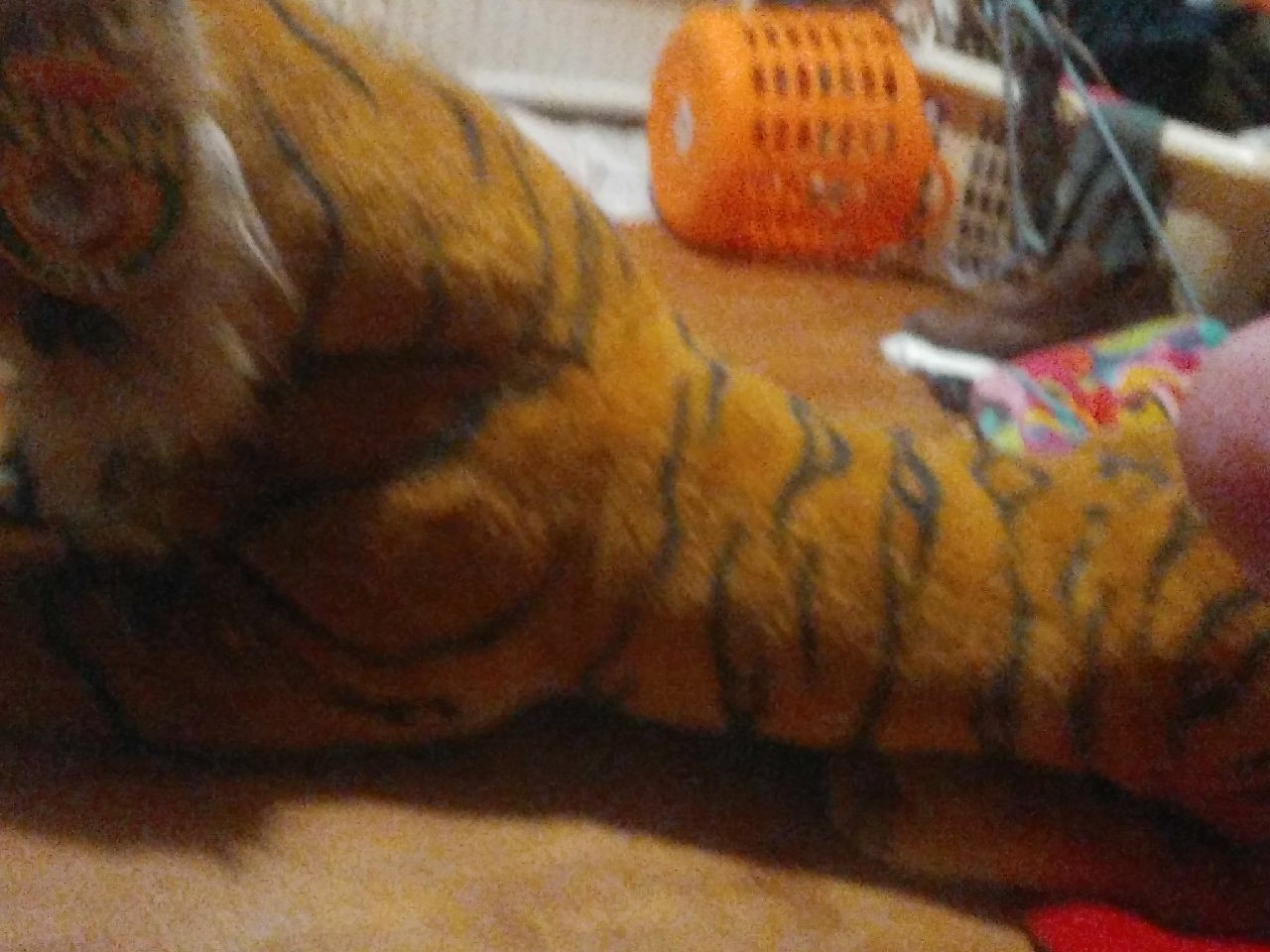 Plush tiger