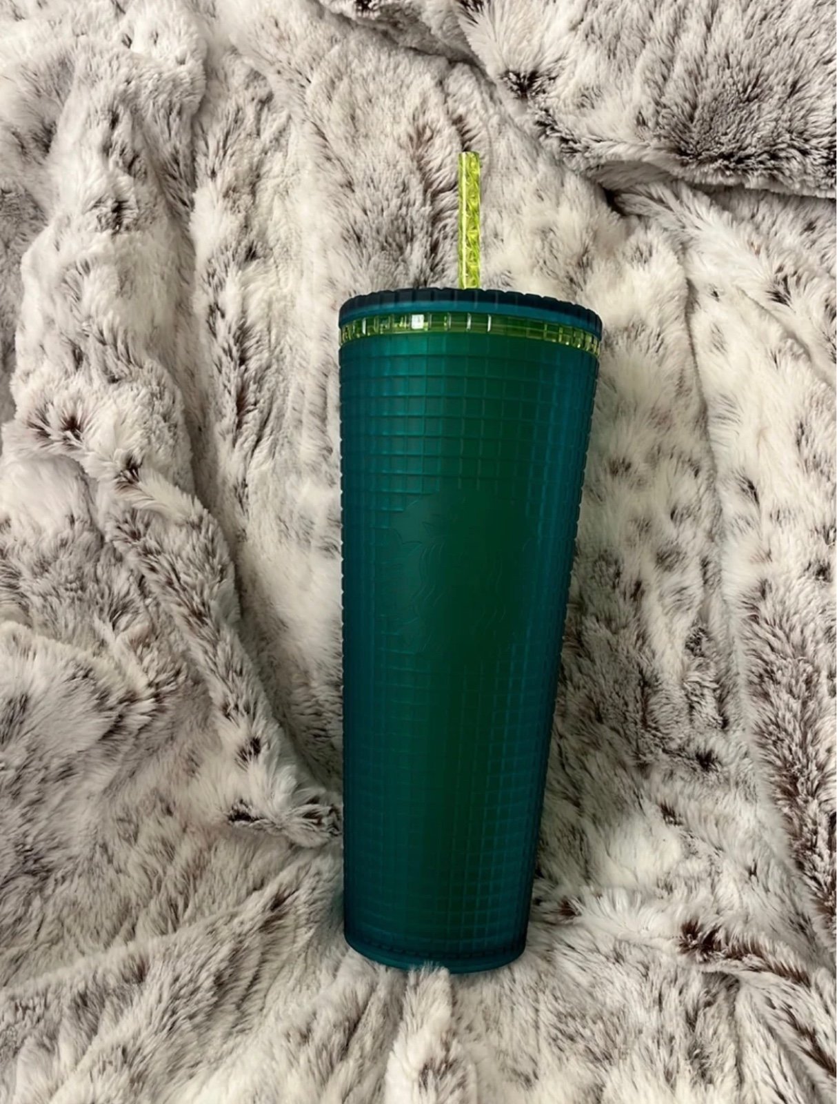 Starbucks US Venti Green Jelly Grid *Limited Edition*