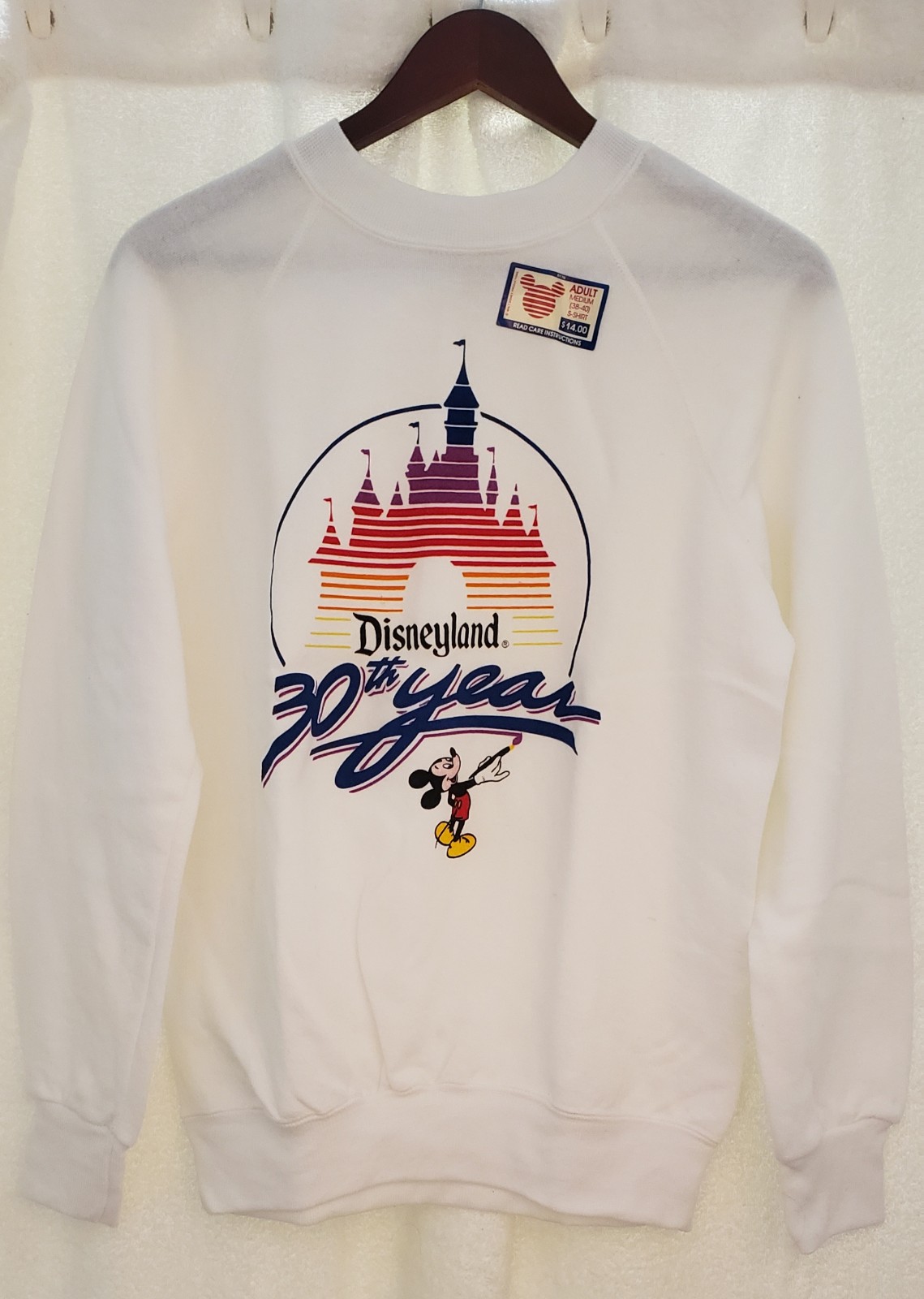 Vintage Disneyland 30th Anniversary sweater