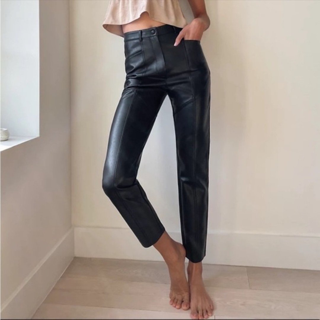 Aritzia Wilfred Rebel Faux Leather Pants