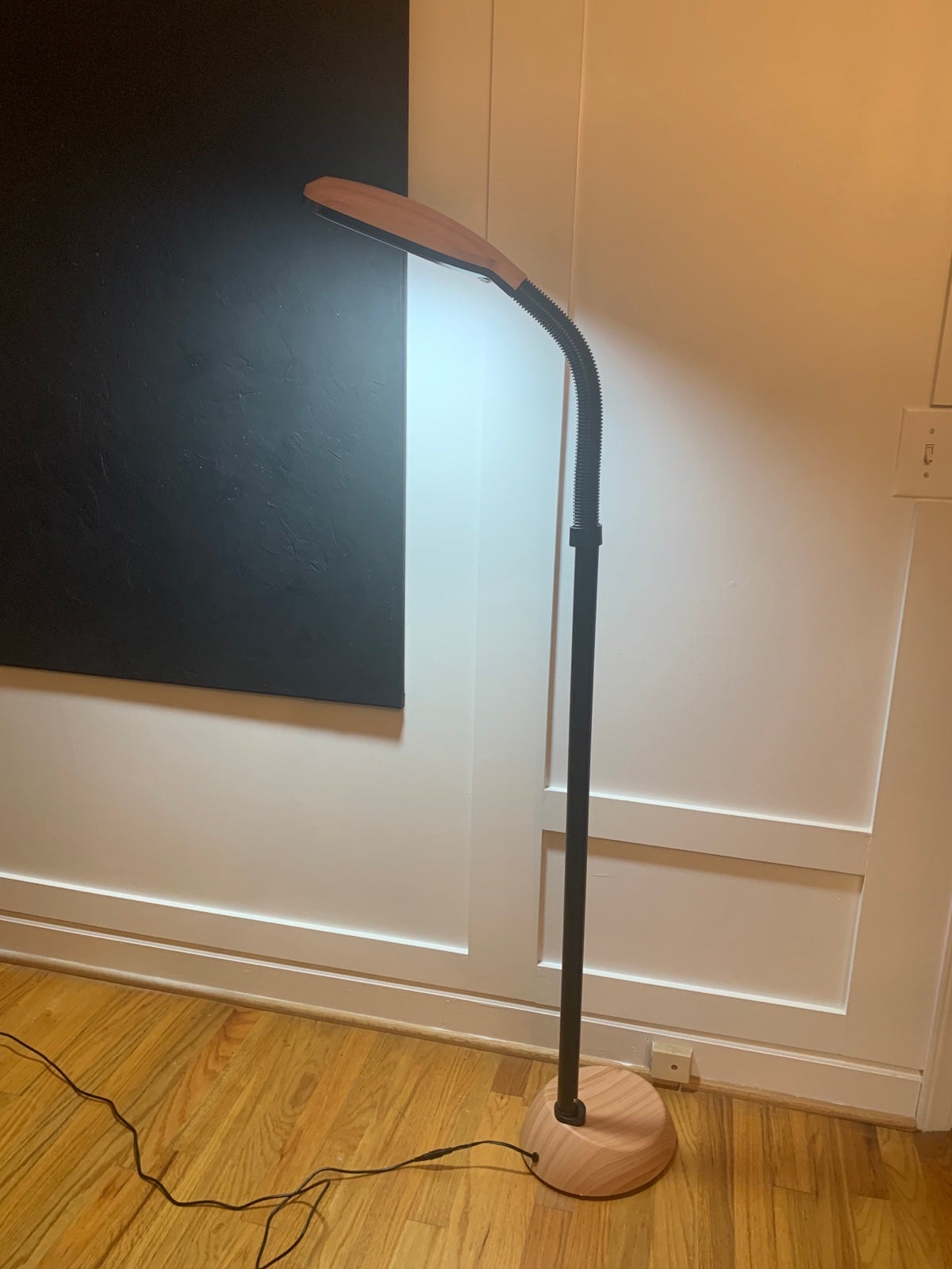 Brightech lifespan led floor lamp like new condition