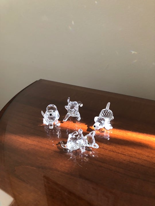 Swarovski Crystal Puppies & Kittens Playing