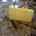 Handbag, Alberta di canio
