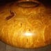 Large Vintage Elder Maple Burl Bowl