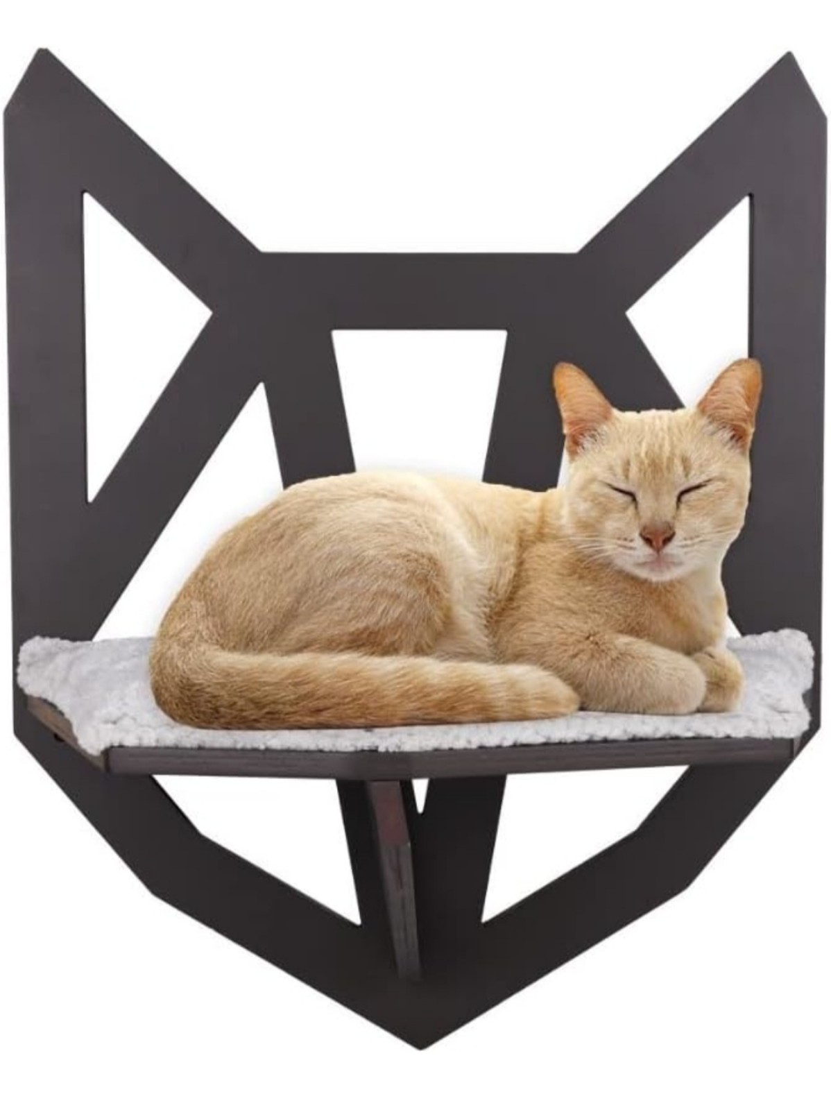 Casafelidae Stylish Cat Shelf for Wall | Easy Assembly 17 x 24 x11