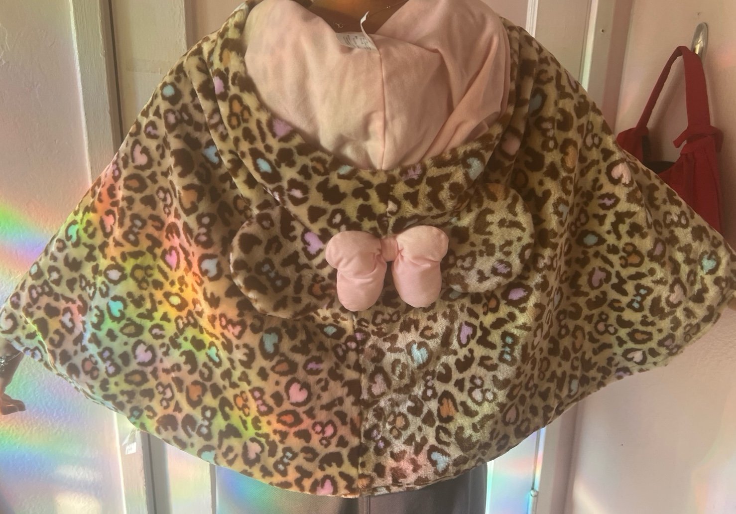 Tokyo Disney poncho