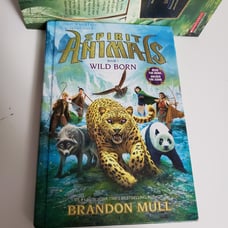 Scholastic Spirit Animals By Multi Authors Hardcover Book Series Set Age 8-12