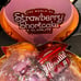 GLAMLITE X STRAWBERRY SHORTCAKE FULL COLLECTION NEW W/PR BOX