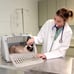 Sport Pet Foldable Travel Cat Carrier with A Waterproof Bed